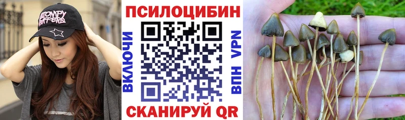 Псилоцибиновые грибы MAGIC MUSHROOMS  что такое   Благовещенск 