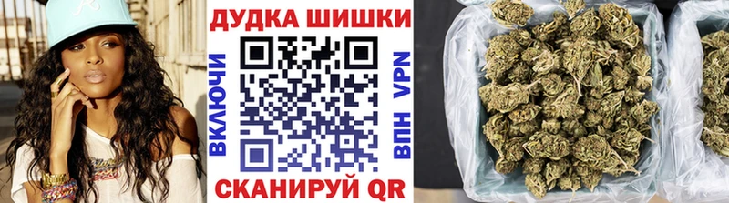 Бошки Шишки планчик  Благовещенск 